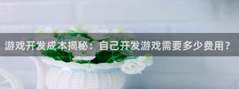 游戏开发成本揭秘：自己开发游戏需要多少费