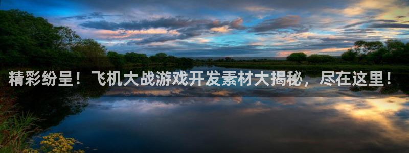 精彩纷呈！飞机大战游戏开发素材大揭秘，尽