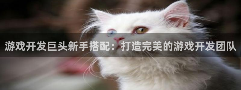 游戏开发巨头新手搭配：打造完美的游戏开发
