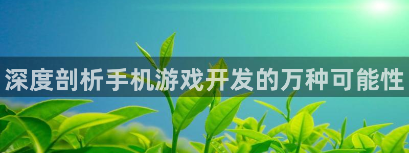 沐鸣1平台注册：深度剖析手机游戏开发的万