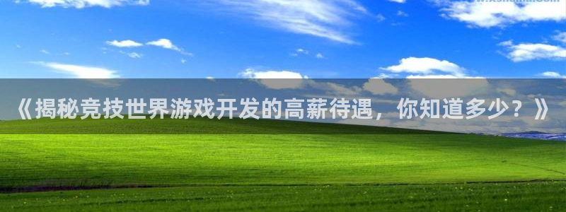 沐鸣平台168：《揭秘竞技世界游戏开发的