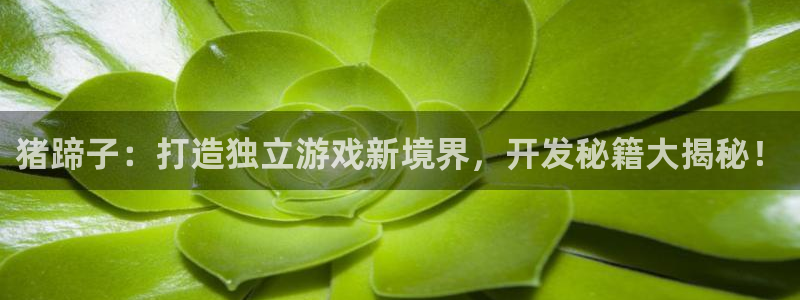沐鸣注册账号：猪蹄子：打造独立游戏新境界