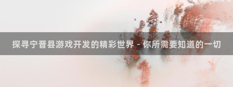 沐鸣注册：探寻宁晋县游戏开发的精彩世界 