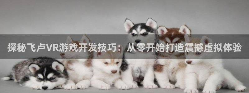 沐鸣娱乐注册平台怎么样：探秘飞卢VR游戏