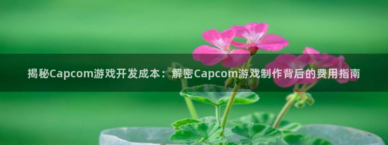 沐鸣平台登录：揭秘Capcom游戏开发成