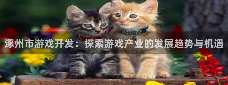 沐鸣娱乐注册登录平台：涿州市游戏开发：探