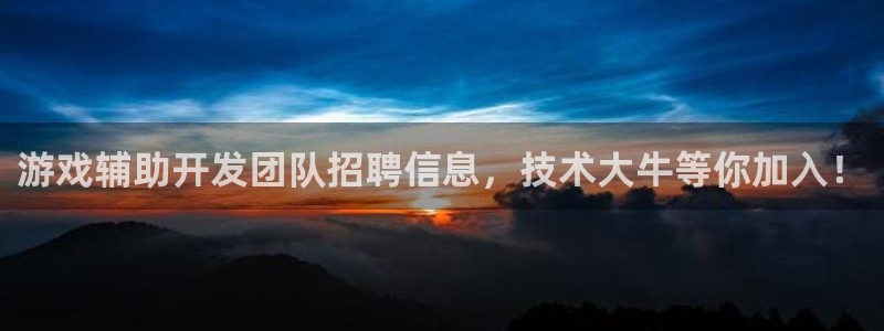 沐鸣平台：游戏辅助开发团队招聘信息，技术