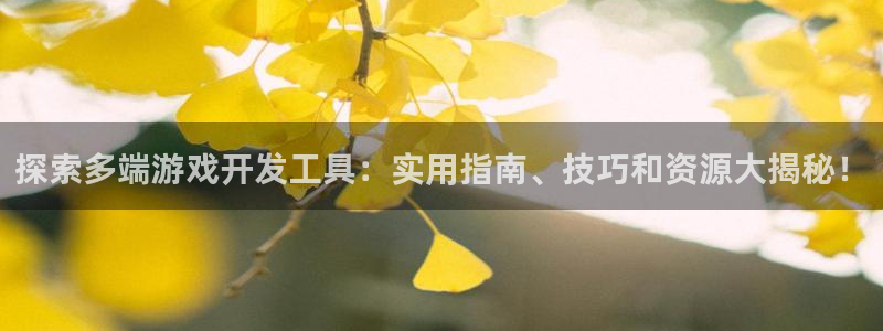 沐鸣科技业务：探索多端游戏开发工具：实用