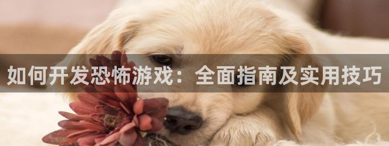 沐鸣平台总代：如何开发恐怖游戏：全面指南