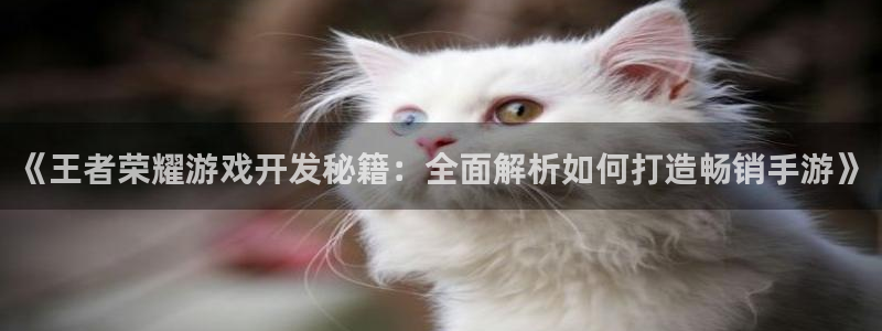 沐鸣平台注册资金多少钱：《王者荣耀游戏开