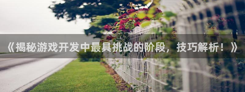 沐鸣娱乐注册登录平台官网：《揭秘游戏开发