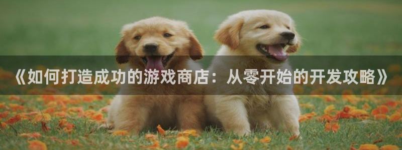 沐鸣科技有限公司地址：《如何打造成功的游