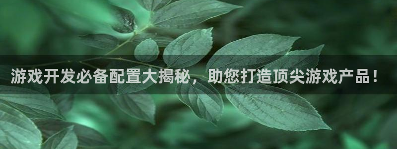 沐鸣1平台招商：游戏开发必备配置大揭秘，