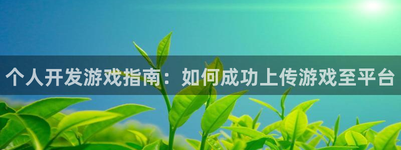 沐鸣娱乐怎么注册会员：个人开发游戏指南：
