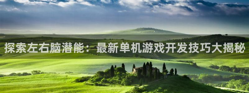 沐鸣娱乐平台登录不上：探索左右脑潜能：最