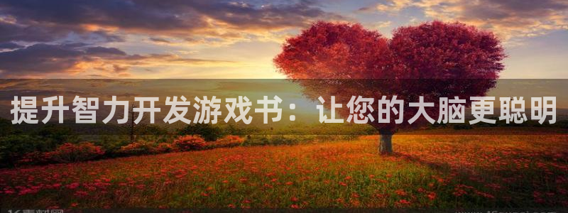 沐鸣娱乐：提升智力开发游戏书：让您的大脑