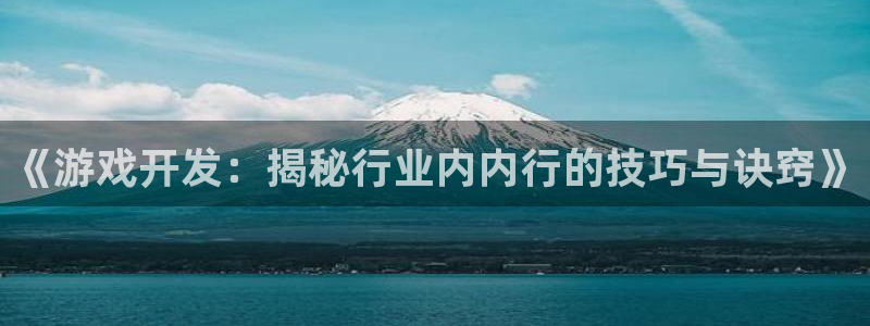 沐鸣科技怎么样：《游戏开发：揭秘行业内内