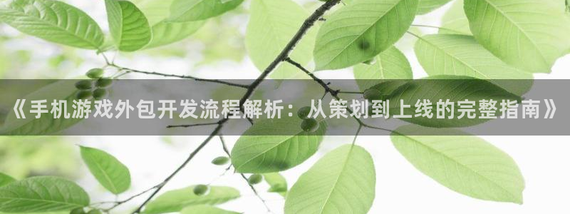 沐鸣娱乐平台登录入口官网：《手机游戏外包