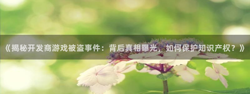 沐鸣娱乐官方网站入口下载：《揭秘开发商游