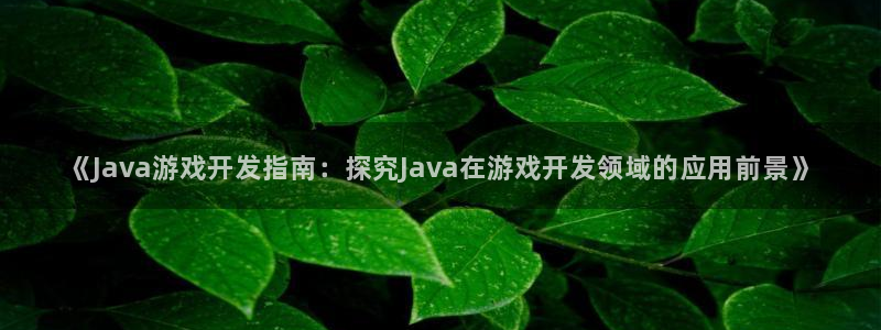 沐鸣官网登录：《Java游戏开发指南：探