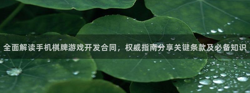 沐鸣娱乐测速：全面解读手机棋牌游戏开发合