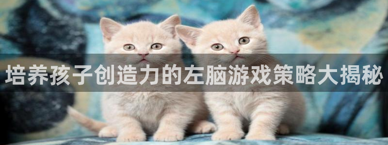 沐鸣科技和沐瞳科技：培养孩子创造力的左脑