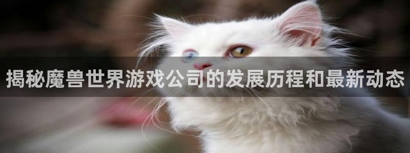 沐鸣娱乐官方网站：揭秘魔兽世界游戏公司的