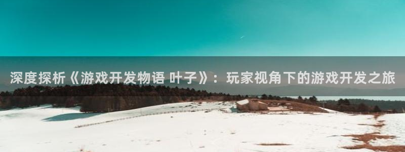 沐鸣娱乐代理是谁：深度探析《游戏开发物语