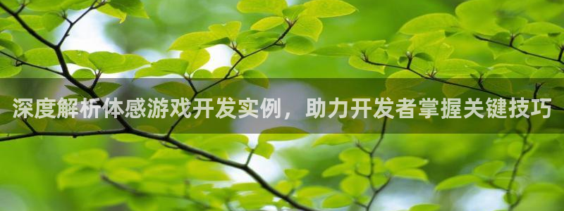沐鸣娱乐平台怎么样啊：深度解析体感游戏开
