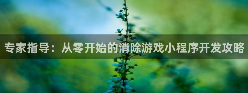 沐鸣科技游戏：专家指导：从零开始的消除游