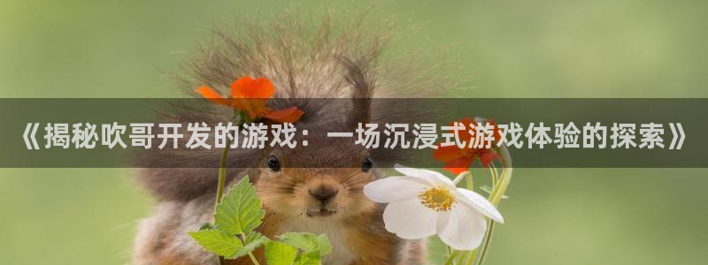 沐鸣娱乐官方平台是什么：《揭秘吹哥开发的