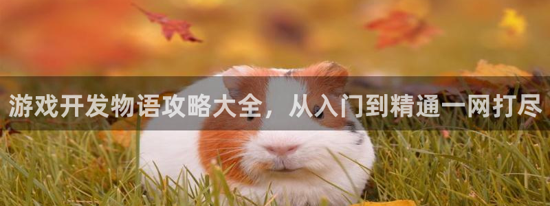 沐鸣登陆测速：游戏开发物语攻略大全，从入