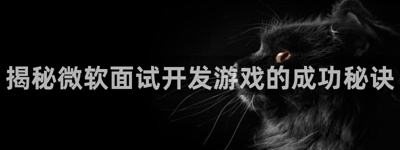 沐鸣线路测试：揭秘微软面试开发游戏的成功