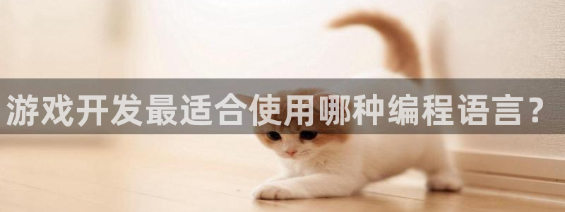 沐鸣娱乐二：游戏开发最适合使用哪种编程语