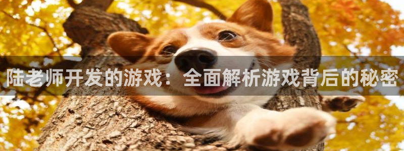 沐鸣游戏~53866：陆老师开发的游戏：