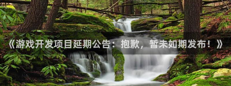 沐鸣集团：《游戏开发项目延期公告：抱歉，