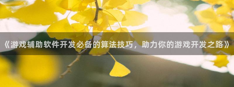 沐鸣娱乐怎么赚钱：《游戏辅助软件开发必备