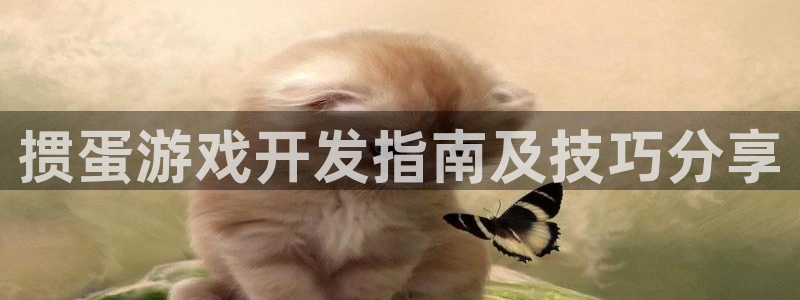 沐鸣娱乐以884340妥：掼蛋游戏开发指