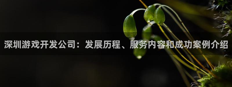 沐鸣平台招商电话号码：深圳游戏开发公司：