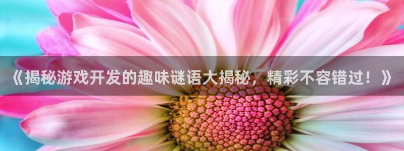 沐鸣网址：《揭秘游戏开发的趣味谜语大揭秘