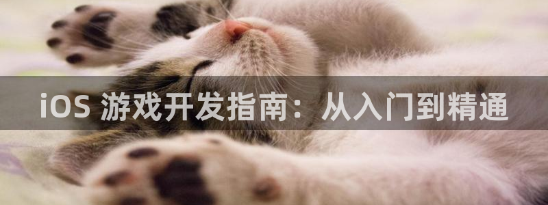 沐鸣娱乐平台大不大：iOS 游戏开发指南