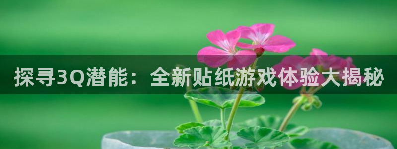 沐鸣娱乐代理在线注册链接：探寻3Q潜能：