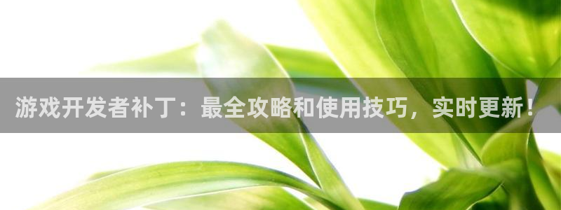 沐鸣娱乐平台大不大：游戏开发者补丁：最全