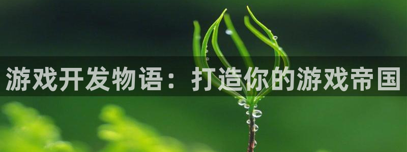 沐鸣平台招商：游戏开发物语：打造你的游戏