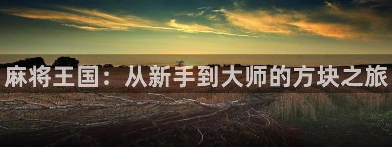 沐鸣科技有限公司官网：麻将王国：从新手到