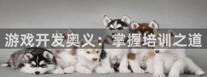 沐鸣娱乐代理在线注册链接：游戏开发奥义：