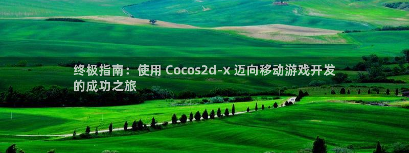 沐鸣平台官网注册：终极指南：使用 Coc