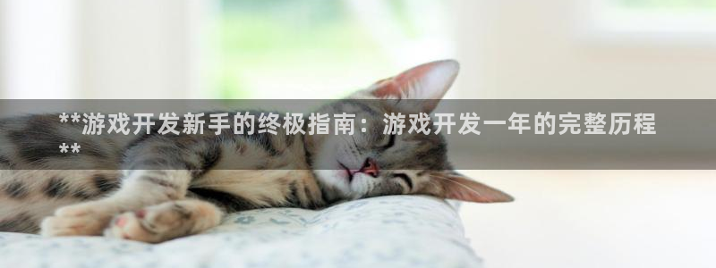 手机版沐鸣客户端下载：**游戏开发新手的