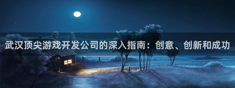 沐鸣娱乐合法吗：武汉顶尖游戏开发公司的深