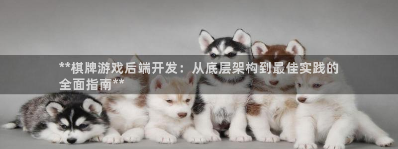 沐鸣平台注册资金多少钱：**棋牌游戏后端